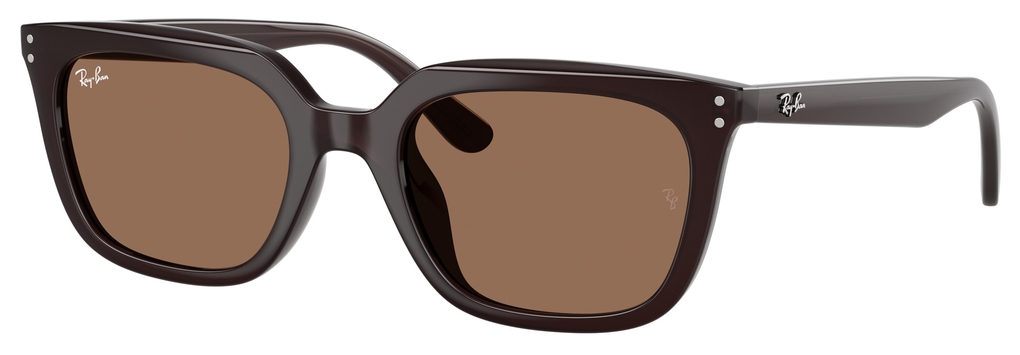  Ray-Ban  RB4439D 623173