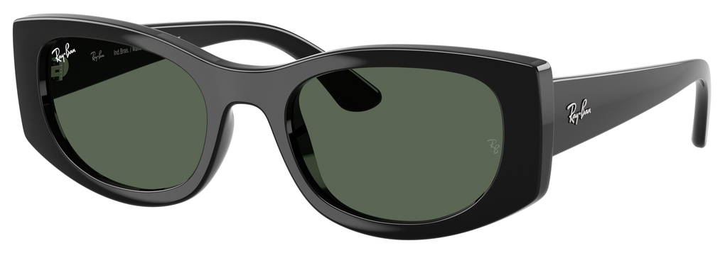  Ray-Ban  RB4446L 667771