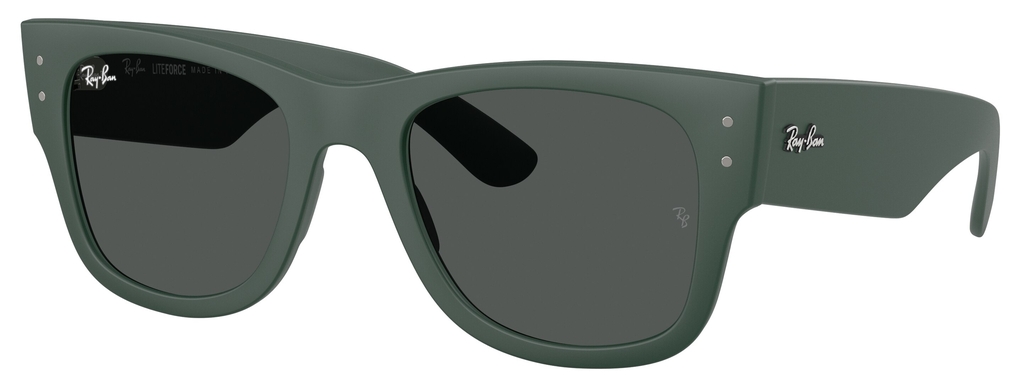  Ray-Ban  RB4840S 665787