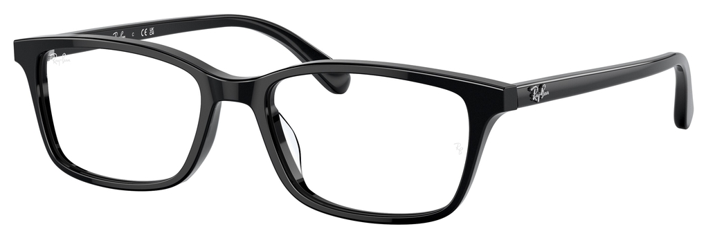  Ray-Ban  RB5416D 2000