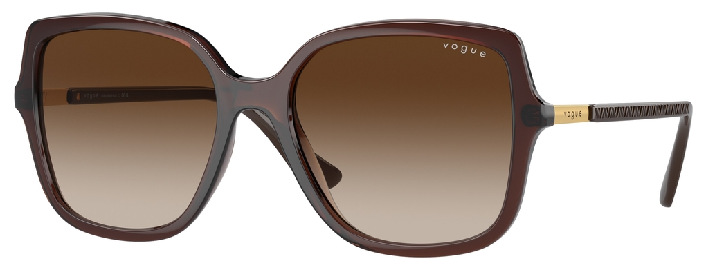  Vogue  VO5538SL 294913