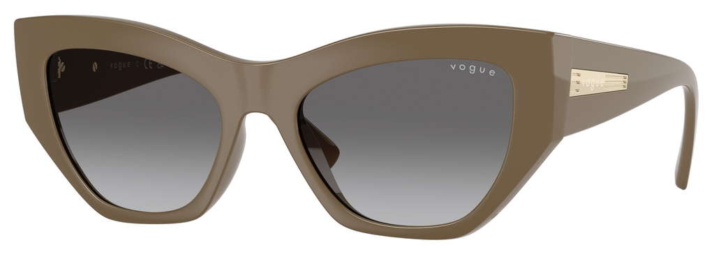  Vogue  VO5607S 317511