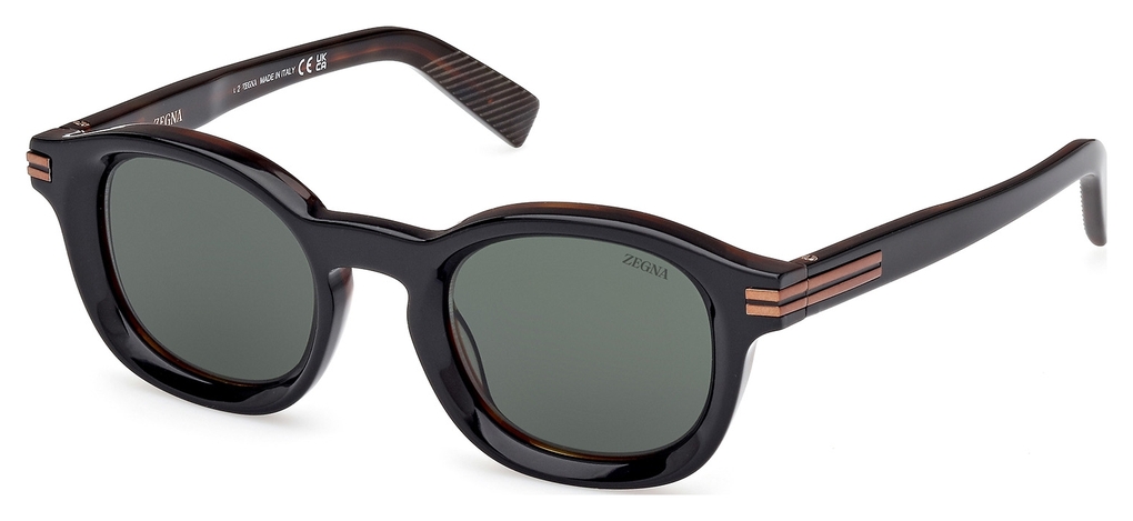  Zegna  EZ0229 05N