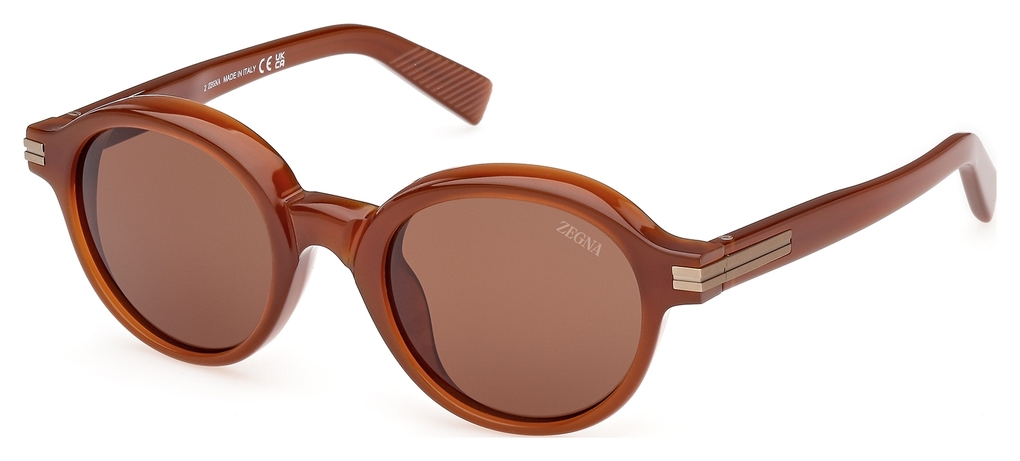  Zegna  EZ0253 45E