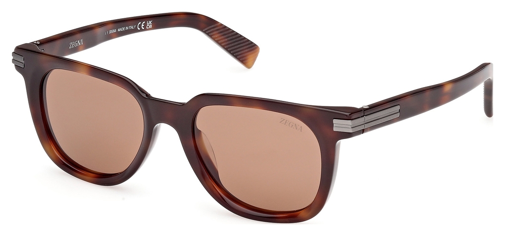  Zegna  EZ0248 52E