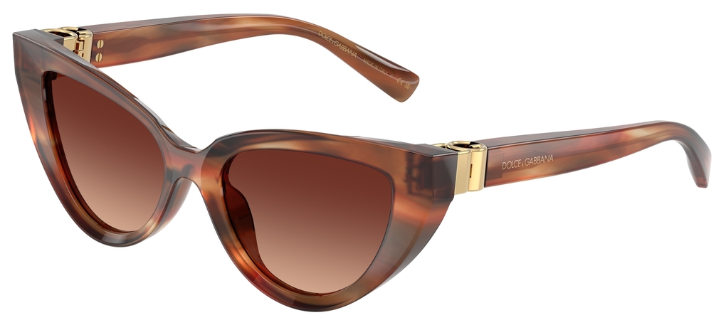  Dolce&Gabbana  DG4497 322113
