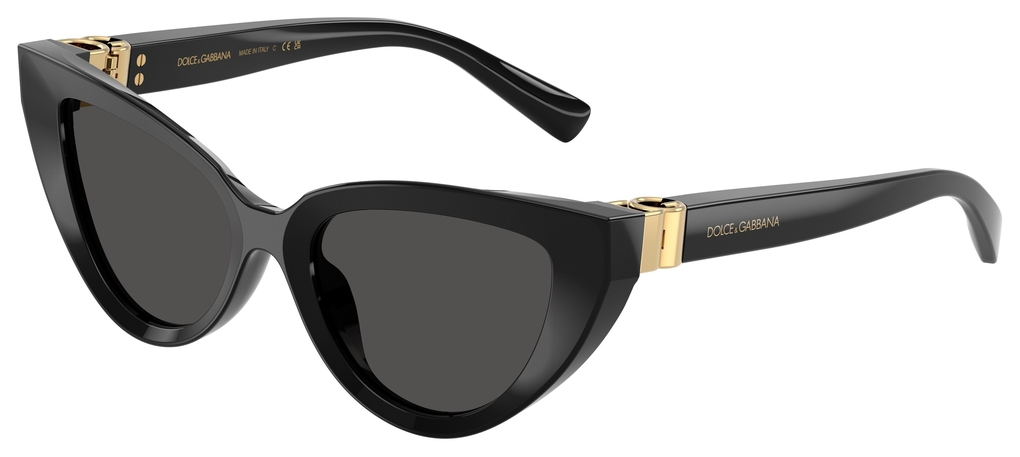  Dolce&Gabbana  DG4497 501/87