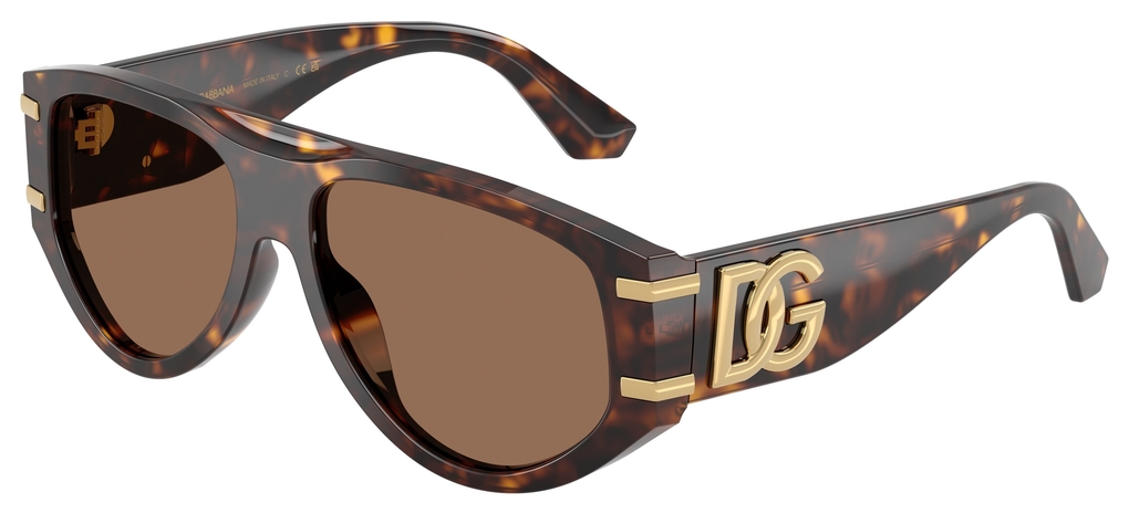  Dolce&Gabbana  DG4499 502/73