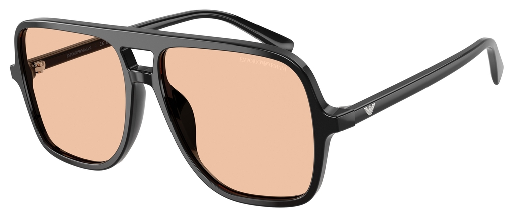  Emporio Armani  EA4252U 501793