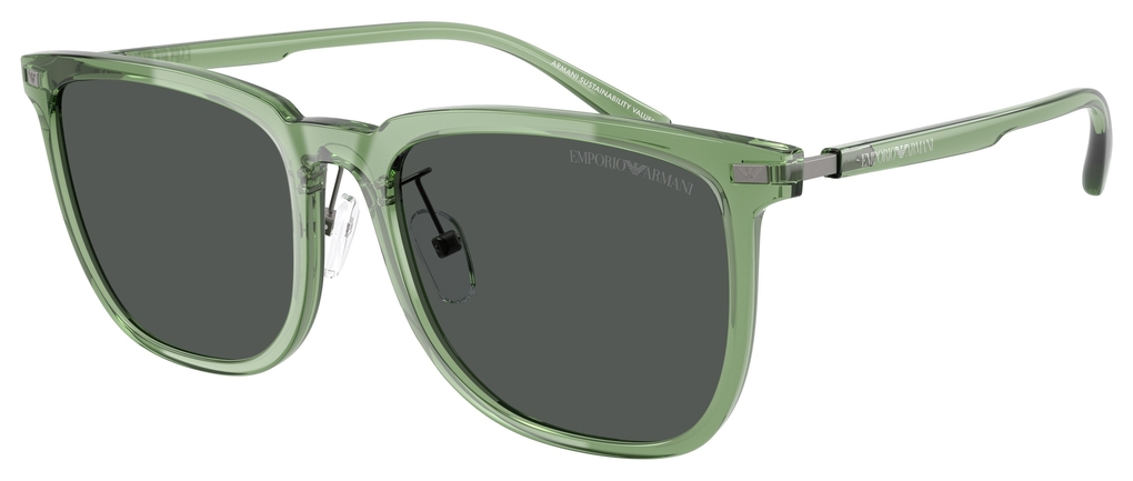 Emporio Armani  EA4255D 536287