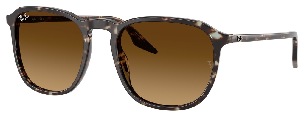  Ray-Ban  RB2203 143185