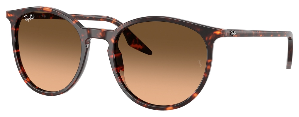  Ray-Ban  RB2204 14293B