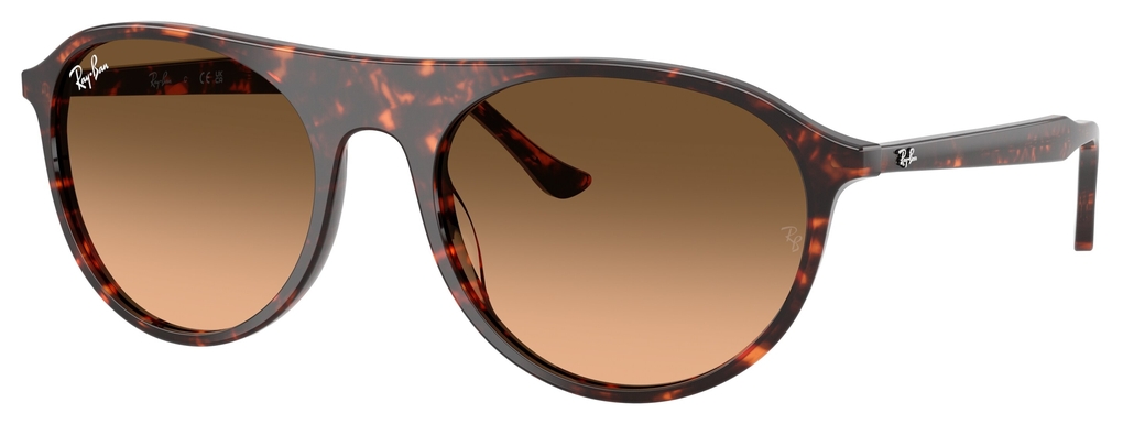  Ray-Ban  RB2215 14293B