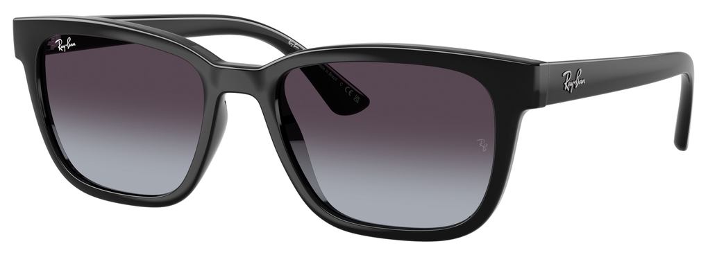  Ray-Ban  RB4448L 601/8G