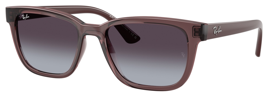  Ray-Ban  RB4448L 67988G