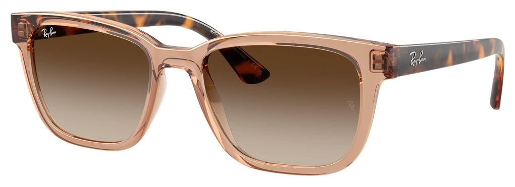  Ray-Ban  RB4448L 679913