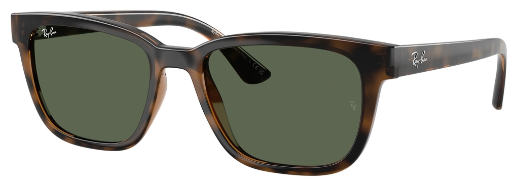  Ray-Ban  RB4448L 710/71