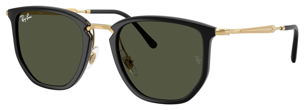 Ray-Ban  RB4451 630631