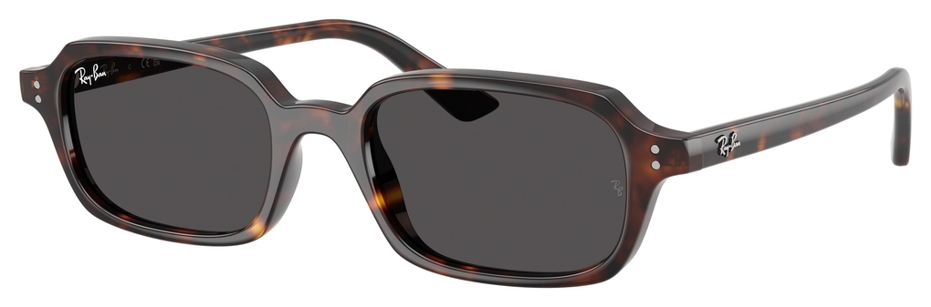  Ray-Ban  RB4455 135987