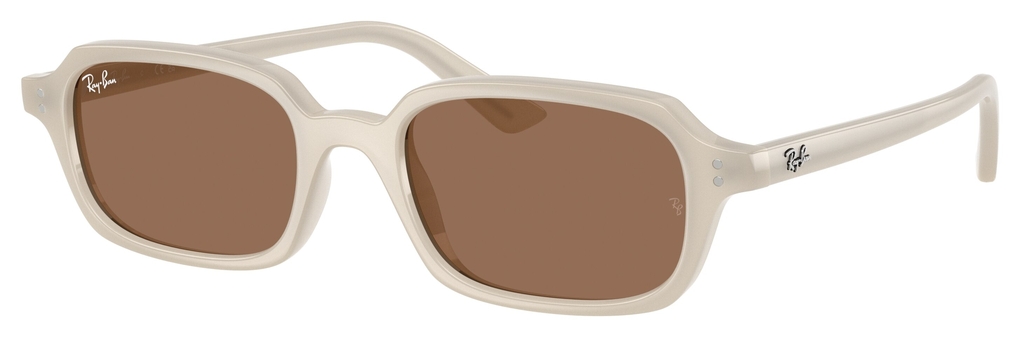  Ray-Ban  RB4455 680873