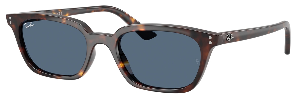 Ray-Ban  RB4456 135980  Ray-Ban  RB4456 135980