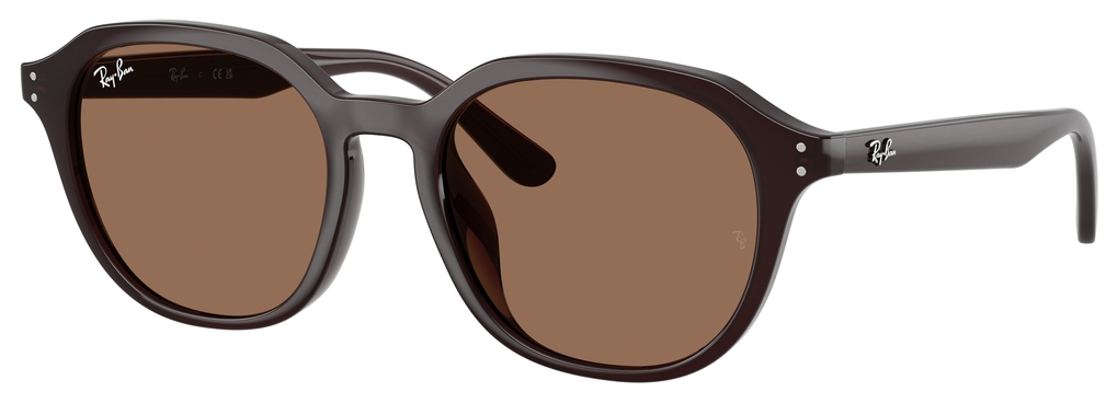  Ray-Ban  RB4459D 623173
