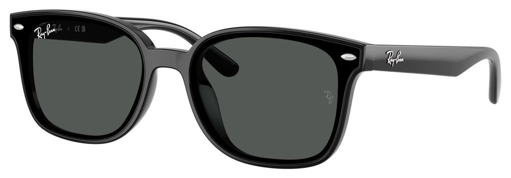  Ray-Ban  RB4461D 601/87