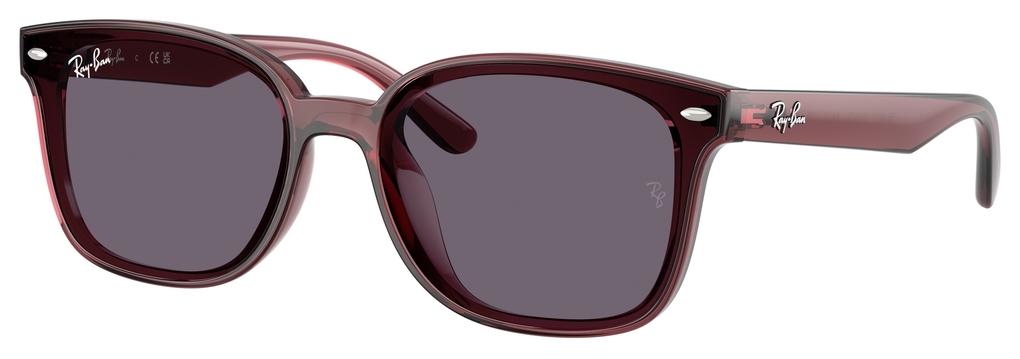  Ray-Ban  RB4461D 659373