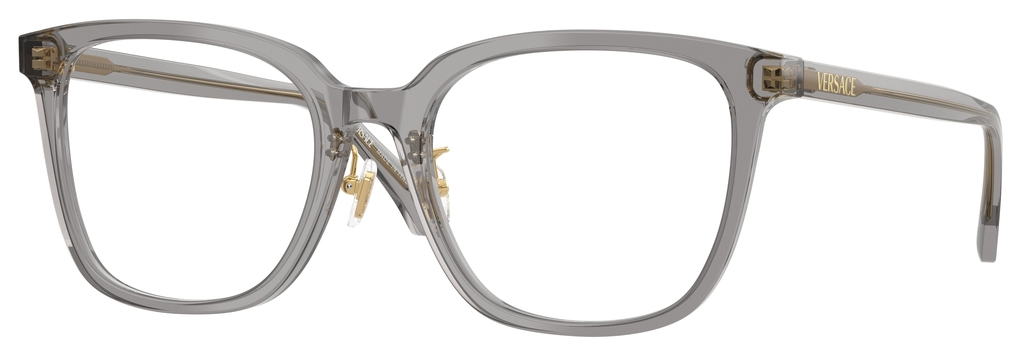  Versace  VE3378D 5510