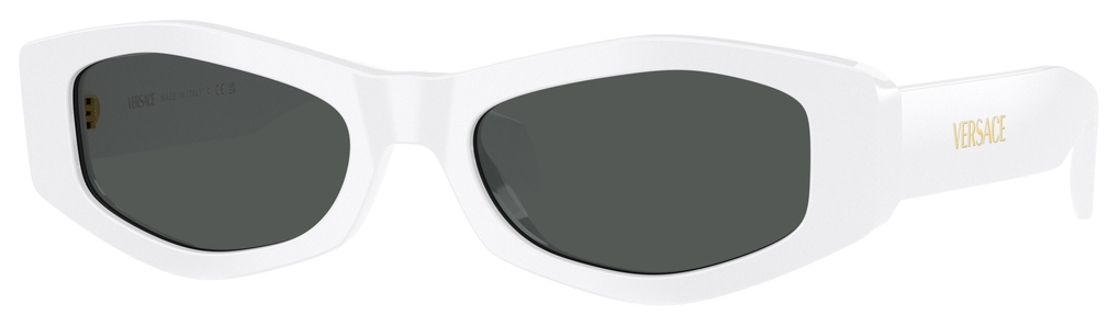  Versace  VE4487 314/87