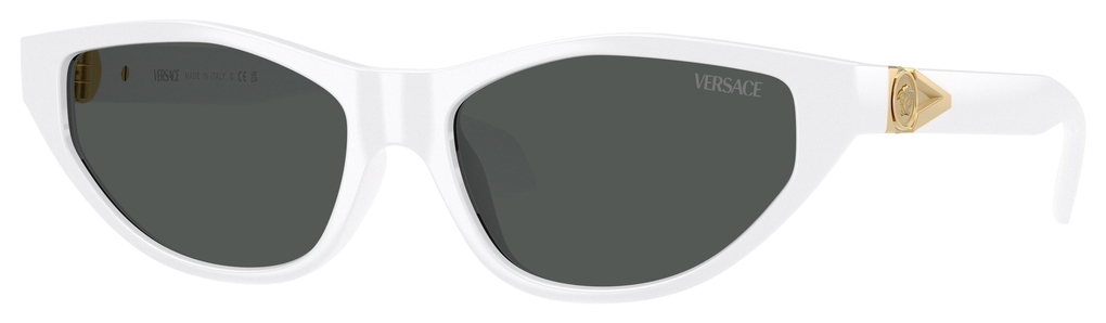  Versace  VE4491U 314/87