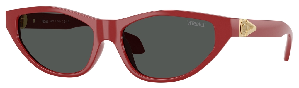  Versace  VE4491U 538887