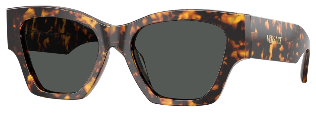  Versace  VE4492U 551487
