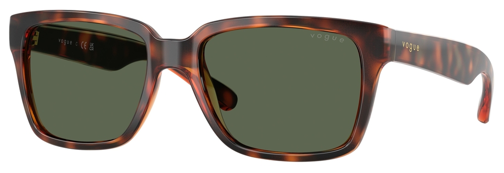  Vogue  VO5648SI 271871