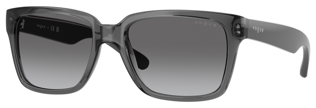 Vogue  VO5648SI 304211