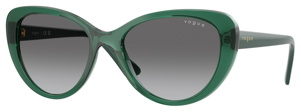  Vogue  VO5649SI 283411