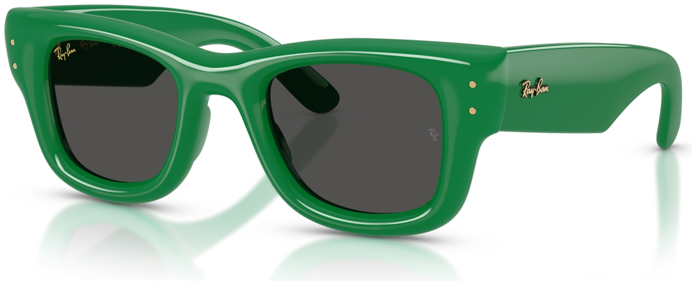  Ray-Ban  RB4940 683487 WAYFARER PUFFER