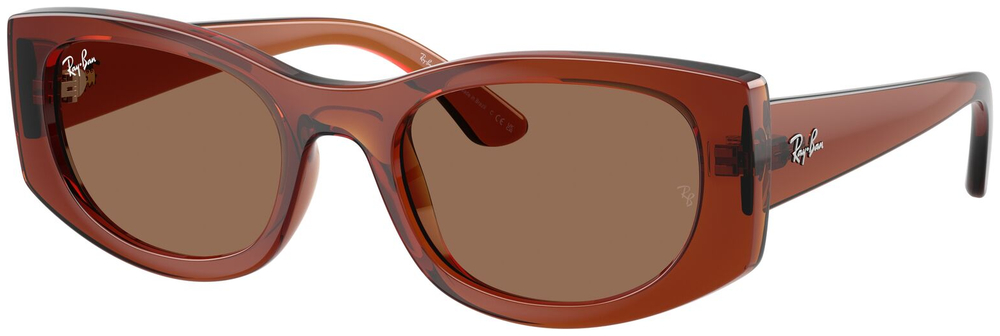  Ray-Ban  RB4446L 683773