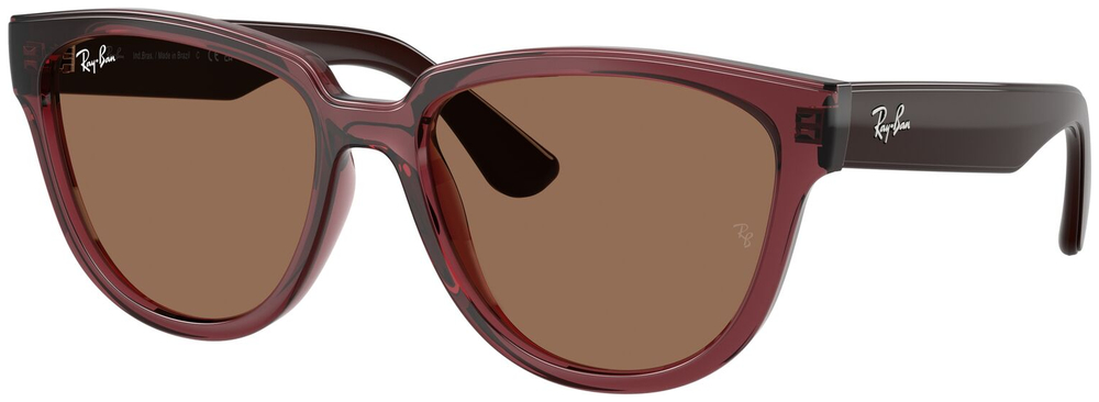  Ray-Ban  RB4463L 659373