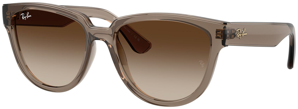  Ray-Ban  RB4463L 673713
