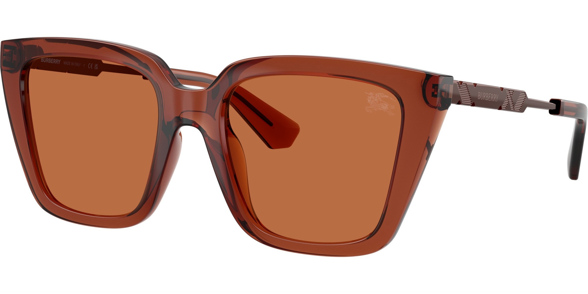  Burberry  BE4473U 419573