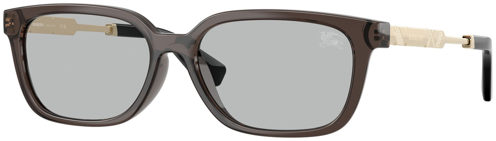  Burberry  BE4481D 411287