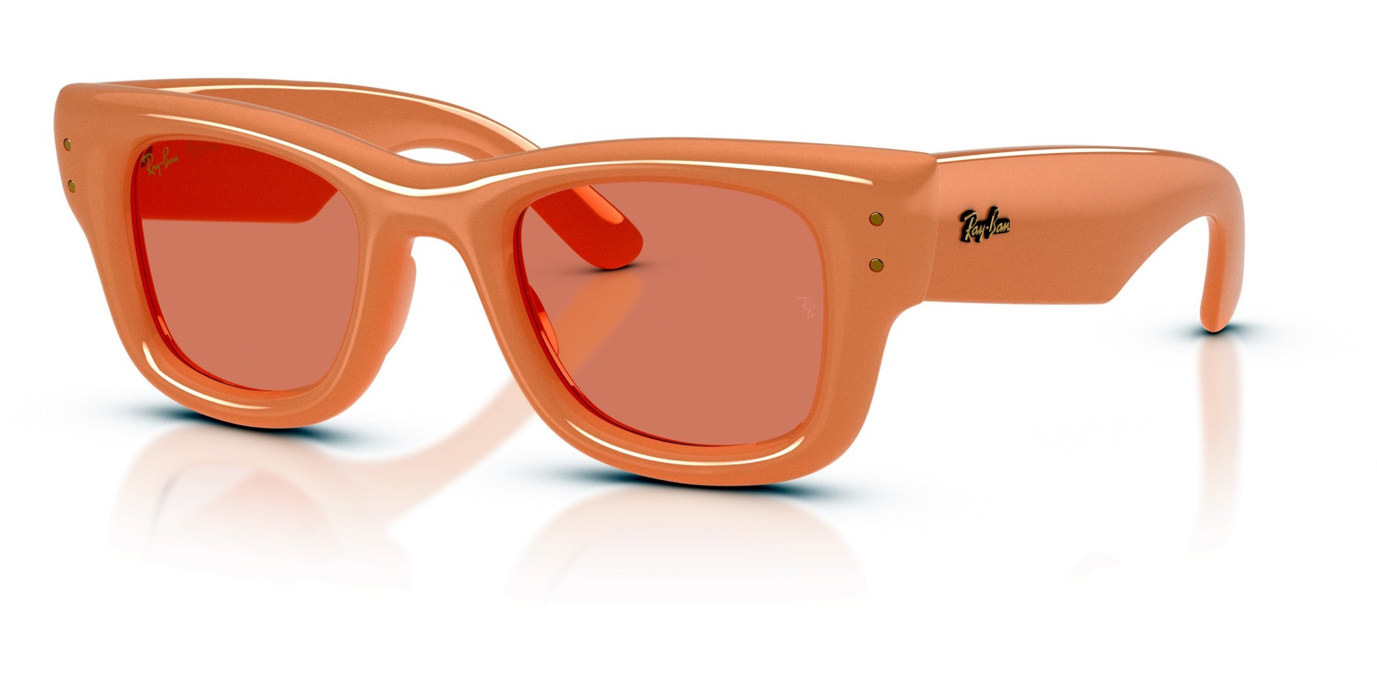  Ray-Ban  RB4940 687584 WAYFARER PUFFER