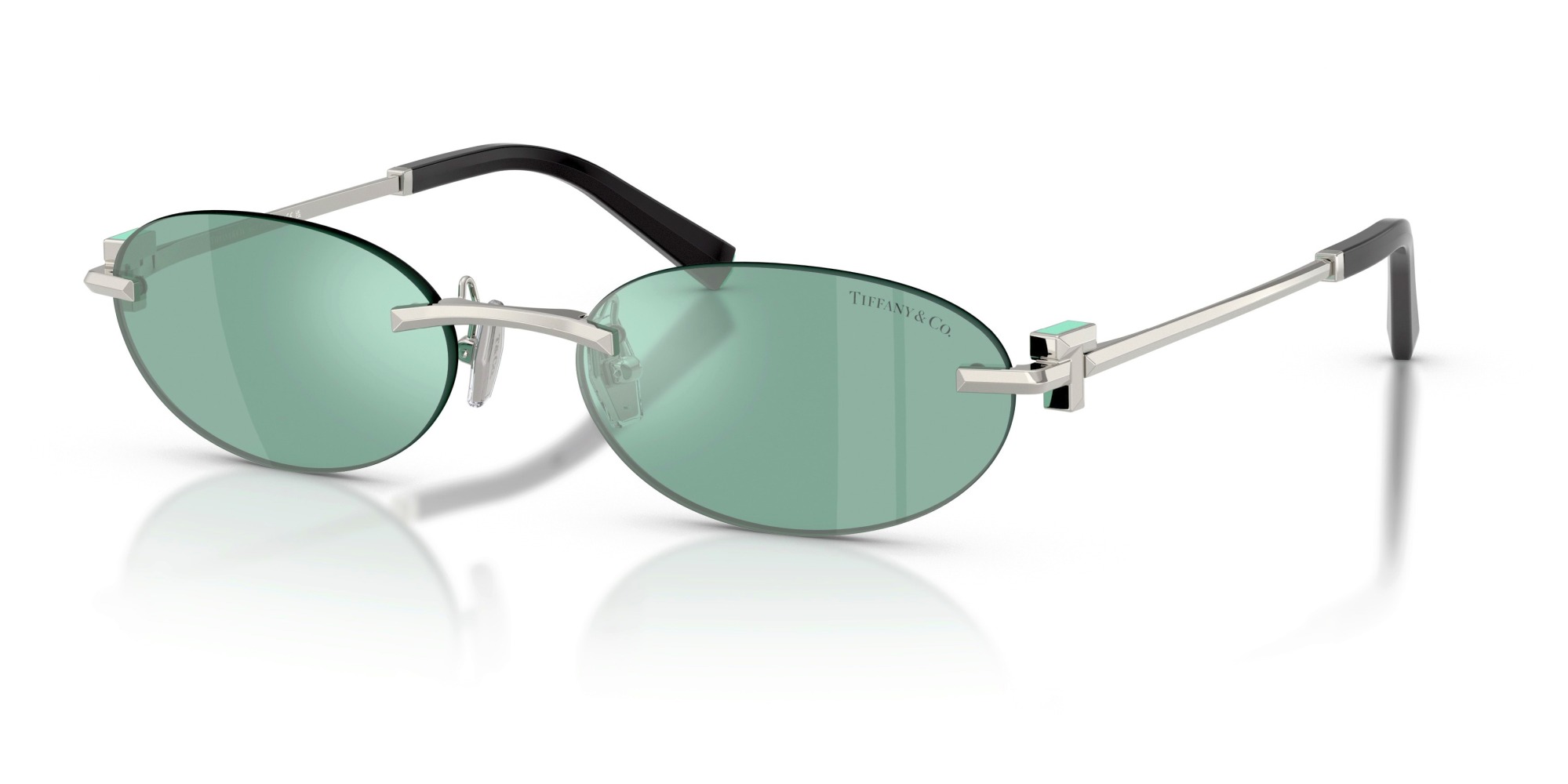  Tiffany & Co.  TF3119D 600165