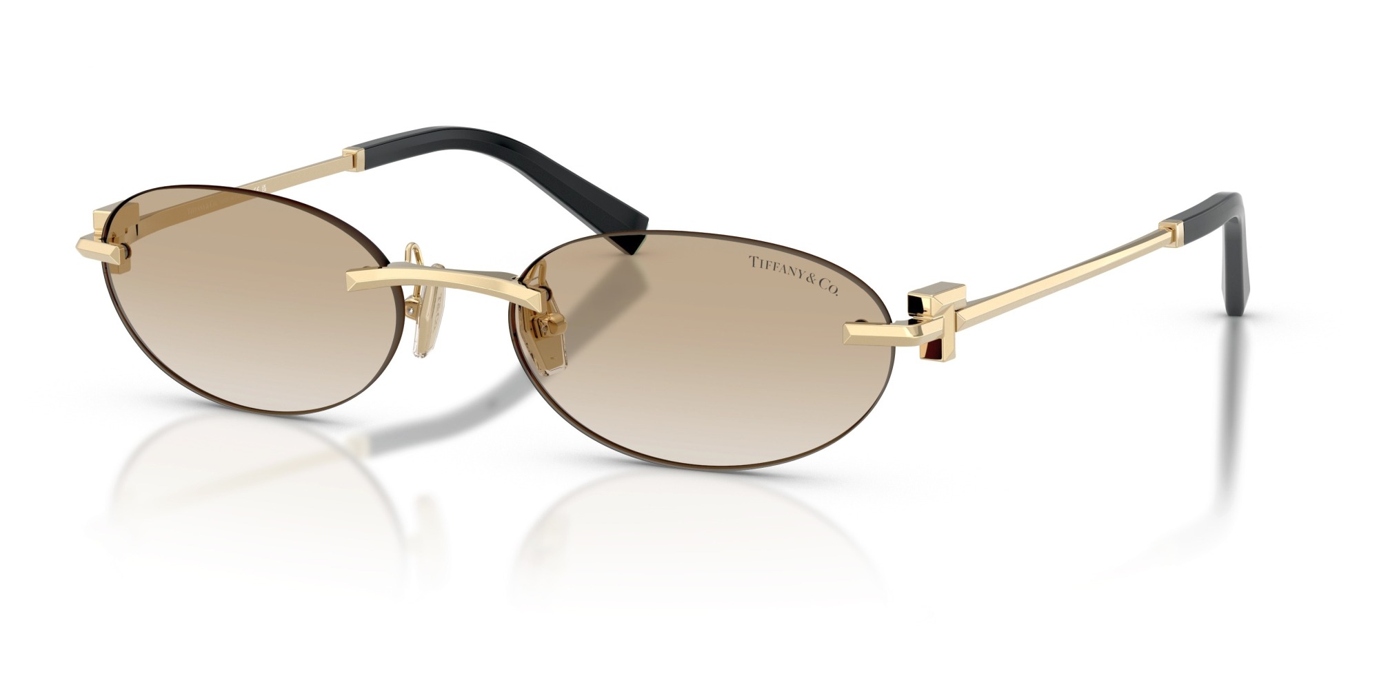  Tiffany & Co.  TF3119D 623911