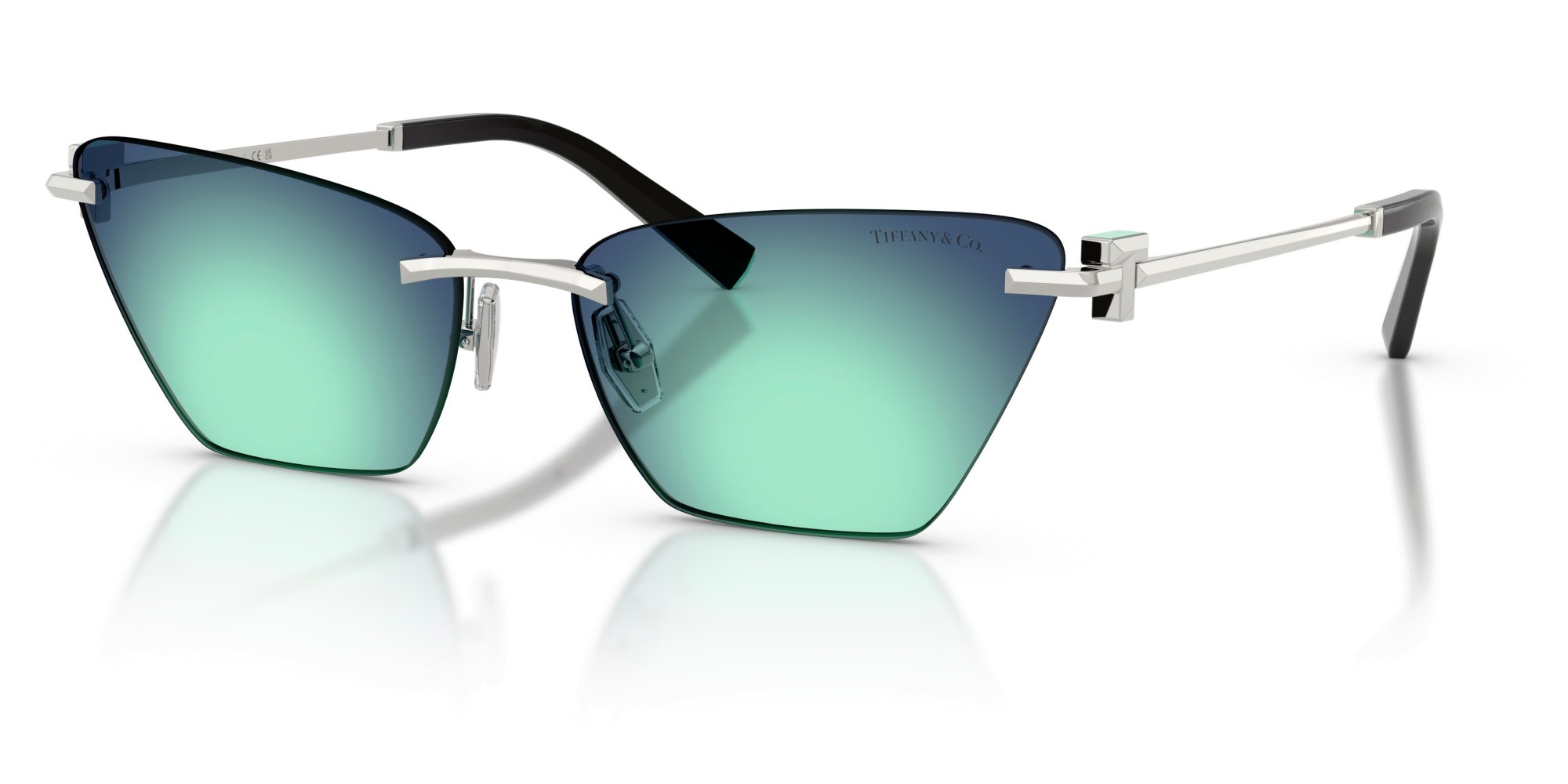  Tiffany & Co.  TF3120 60019S