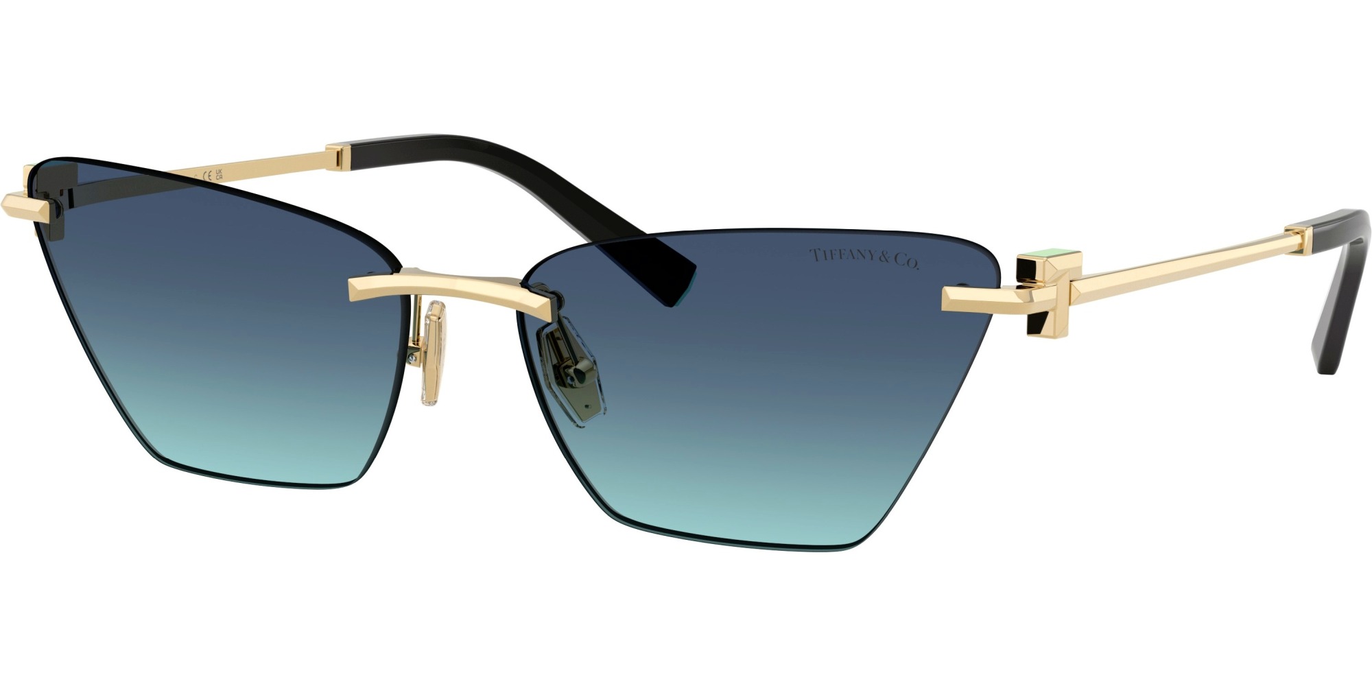  Tiffany & Co.  TF3120 60219S