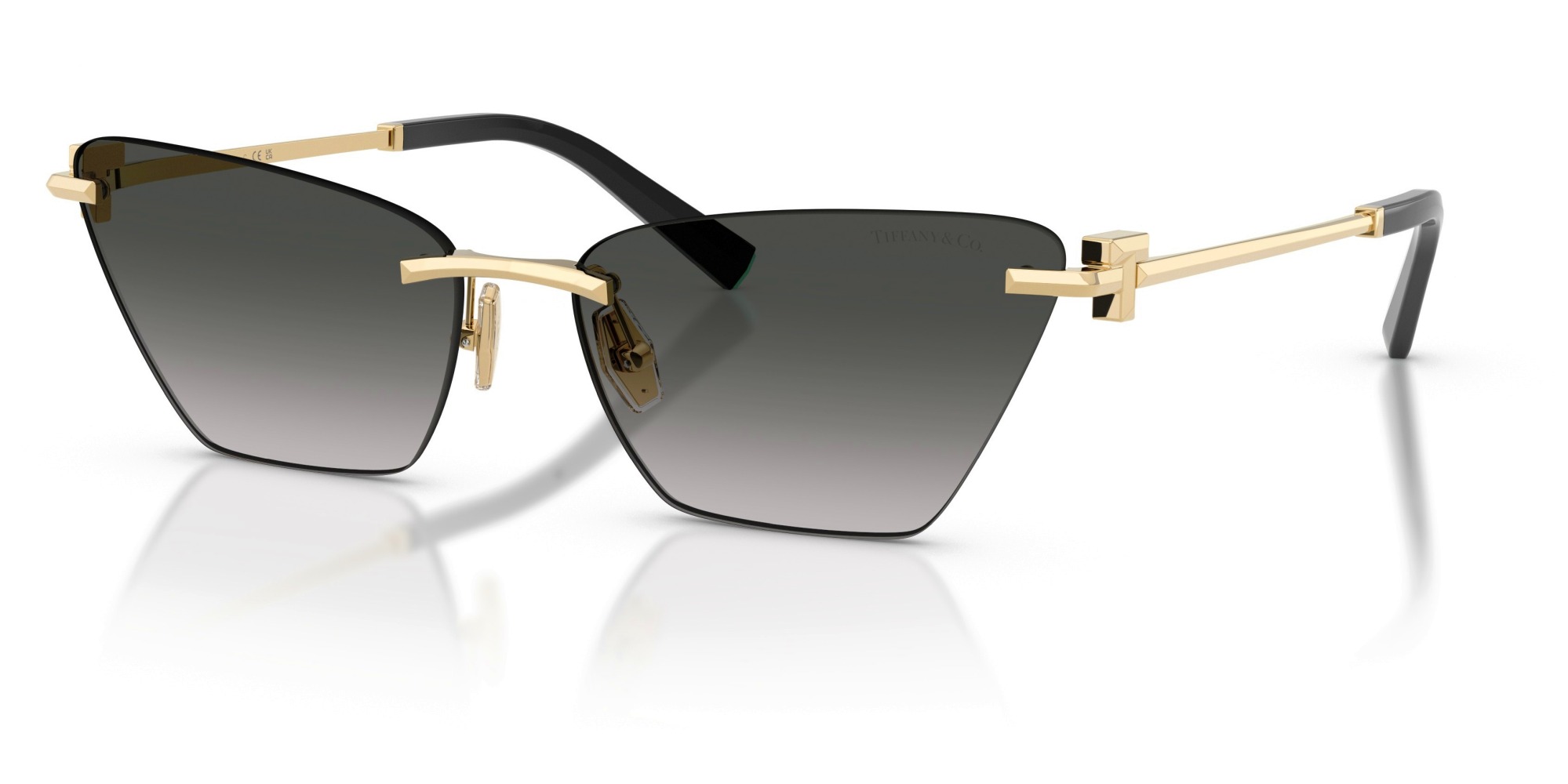  Tiffany & Co.  TF3120 62413C