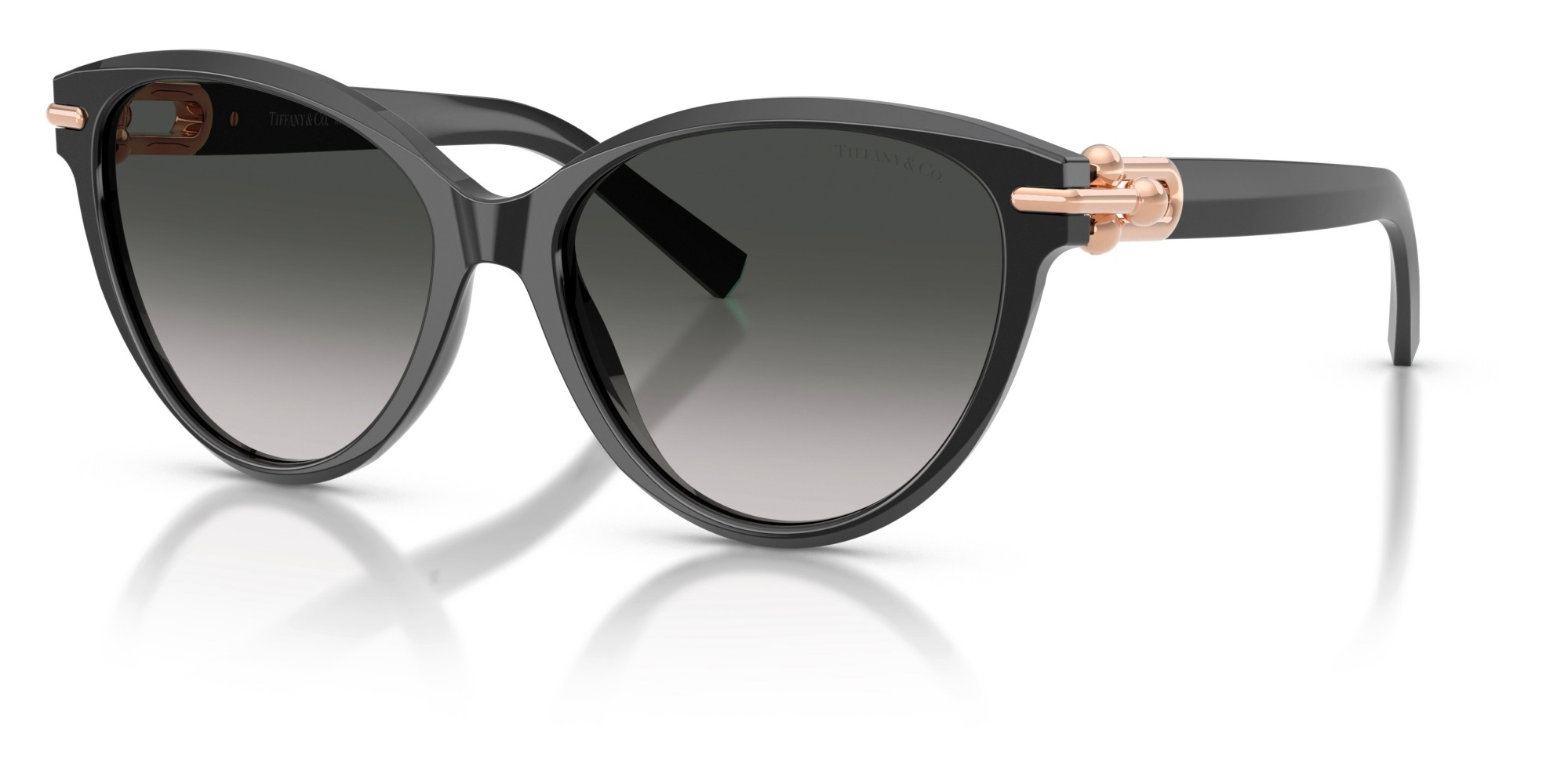  Tiffany & Co.  TF4261 80013C