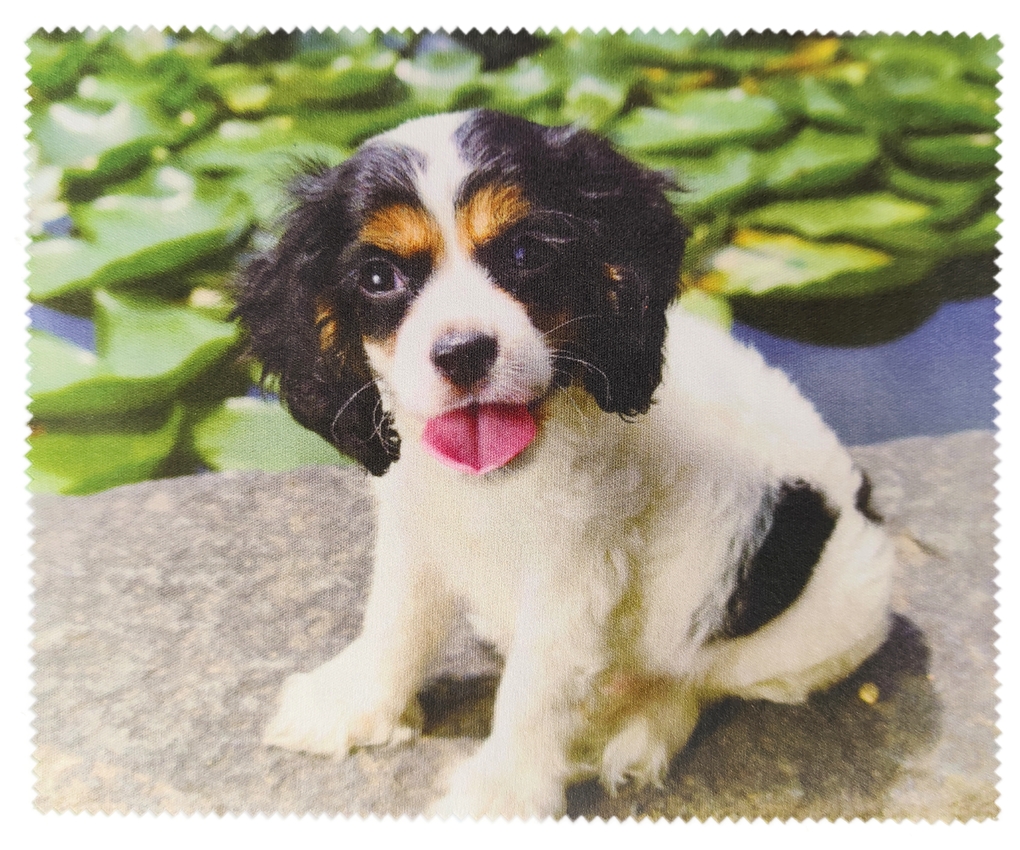  Lavete cu microfibră 267989